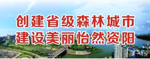 www欧美毛茸茸阴茎创建省级森林城市 建设美丽怡然资阳